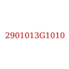 2901013G1010