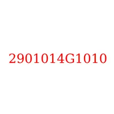 2901014G1010