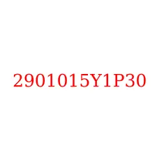 2901015Y1P30