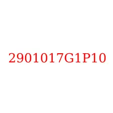 2901017G1P10