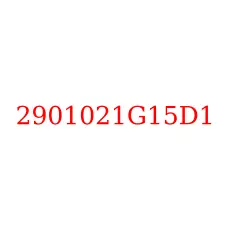 2901021G15D1