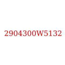 2904300W5132