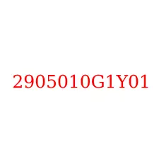 2905010G1Y01