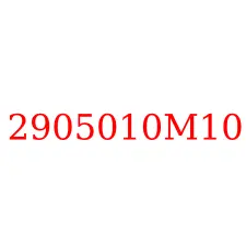 2905010M10
