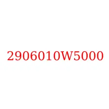 2906010W5000