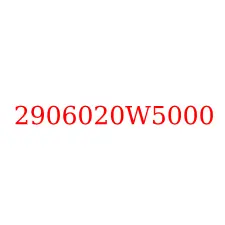 2906020W5000