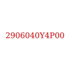 2906040Y4P00
