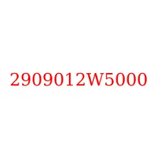 2909012W5000