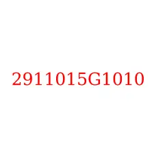 2911015G1010