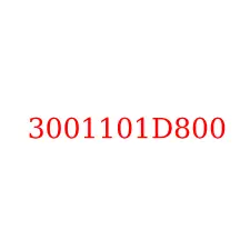 3001101D800