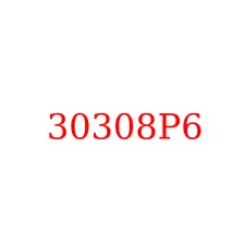 30308P6