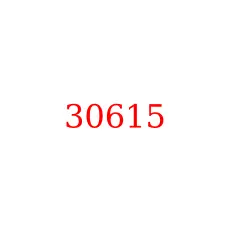 30615