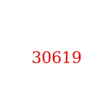 30619