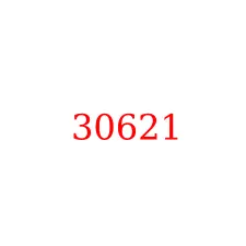 30621