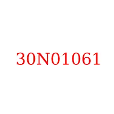 30N01061