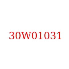 30W01031