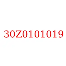 30Z0101019