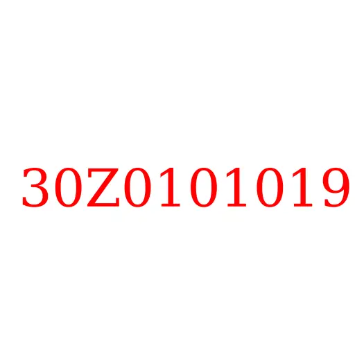 30Z0101019 Втулка шкворня поворотного кулака (нижняя) JAC N200, 30Z0101019
