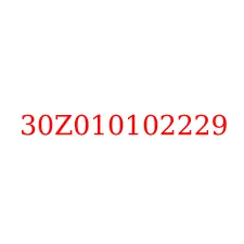 30Z010102229
