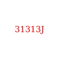 31313J