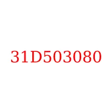 31D503080