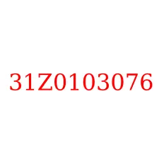 31Z0103076