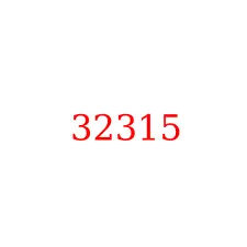 32315