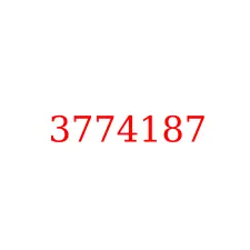 3774187
