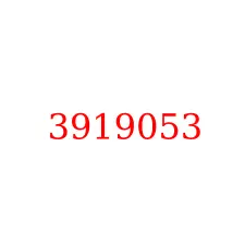 3919053