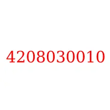 4208030010