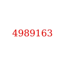 4989163