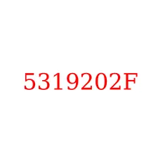 5319202F