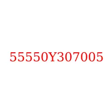 55550Y307005