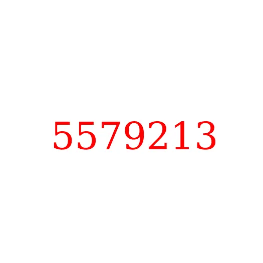 5579213 Клапан впускной ДВС ISF3.8 Евро-5 JAC N120, 5579213