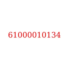 61000010134