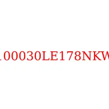 6100030LE178NKWV