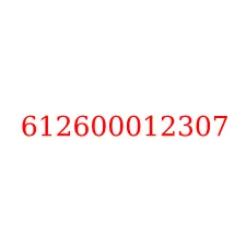 612600012307