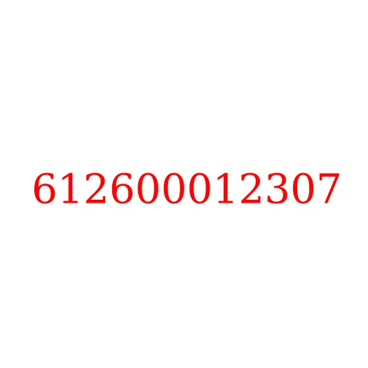 612600012307 Крышка маслоохладителя (теплообменника) WP10 JAC N350, 612600012307