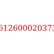 612600020373