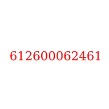 612600062461
