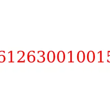 612630010015