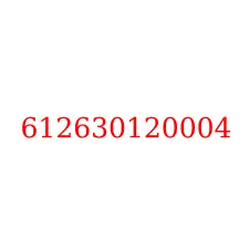 612630120004