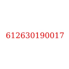 612630190017