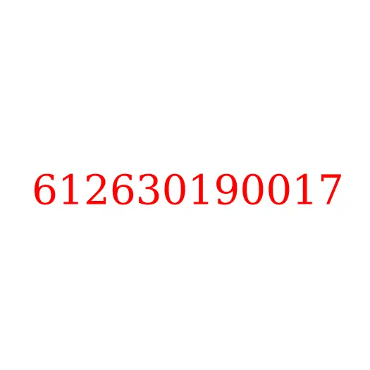 612630190017 Клапан электромагнитный ГБЦ WP10/WP12/WP13 (E5), 612630190017
