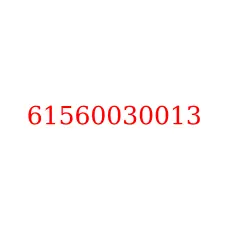 61560030013