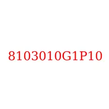 8103010G1P10