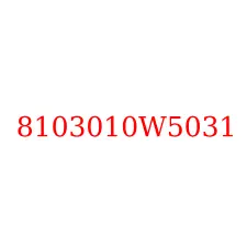 8103010W5031