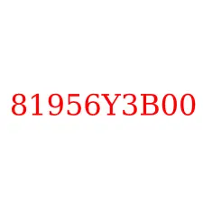 81956Y3B00