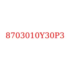 8703010Y30P3
