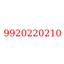 9920220210
